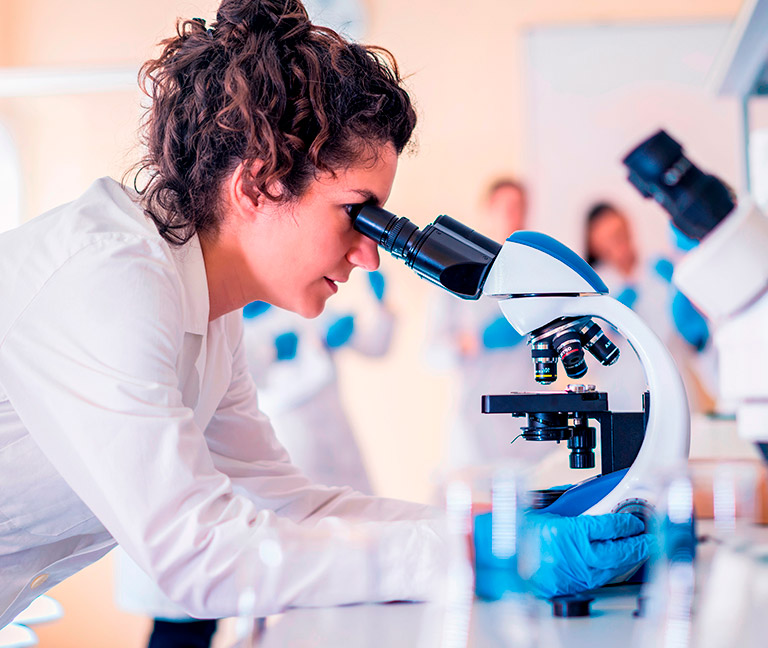 Investigación y Desarrollo